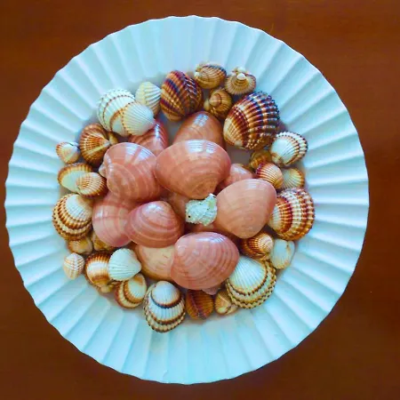 Calypso * Σκάλα Ραχωνίου