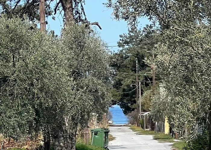 Calypso