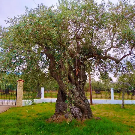 Villa Calypso