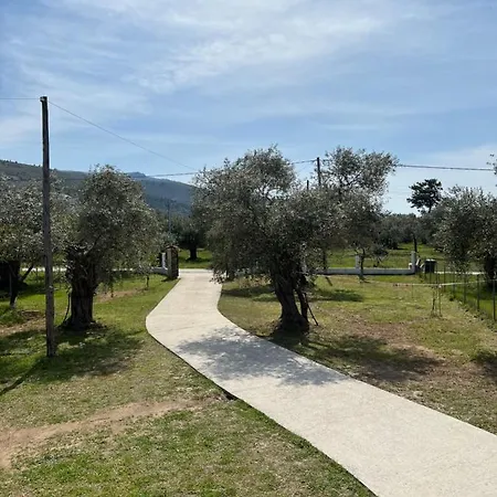 Calypso Villa