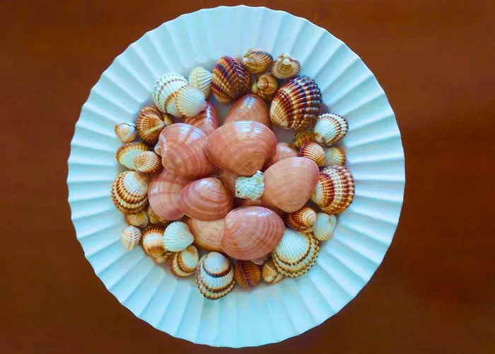 Calypso * Skala Rachoni (Thasos)